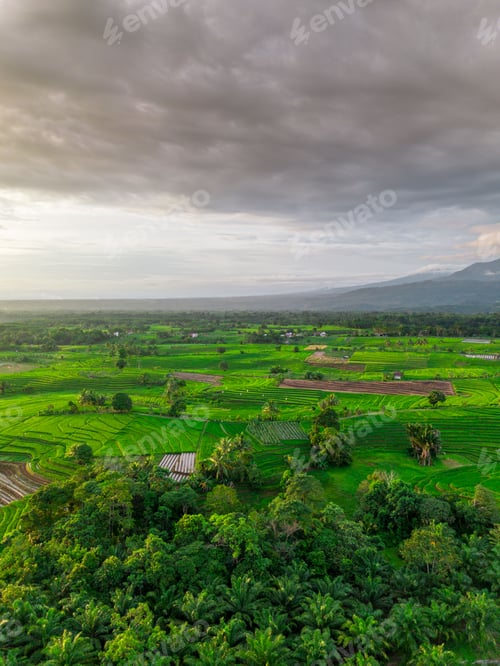 Preview: Beautiful morning view indonesia panorama landscape