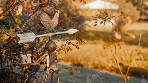 Preview: Closeup of a rooster weathervane in a park during the golden hour