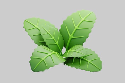 Preview: Stylized 3D Green Peppermint Herb Leaves