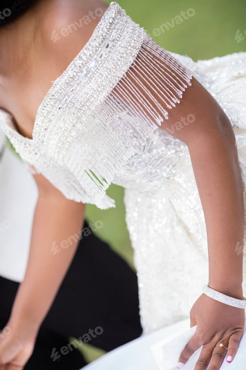 Preview: Gown Dress Wedding Celebrations Bride lace applique embroidery