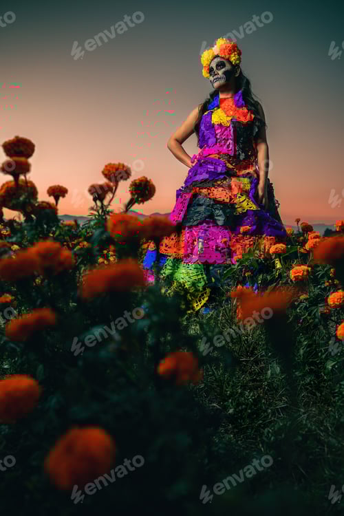 Preview: A beautiful female in traditional dress and makeup posing for the Day of the Dead on a floral field