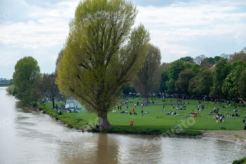 Preview: Germany, aerial view of people picnic at Neckarwiese Garden, Neckar River, Heidelberg city.