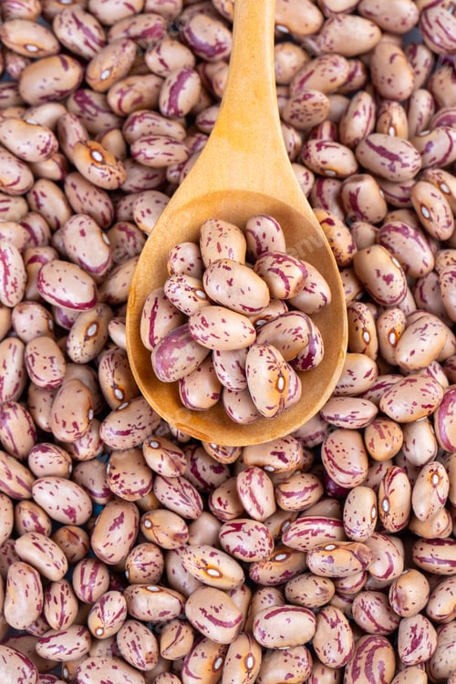 Preview: Raw Organic cranberry bean or roman beans on white background.
