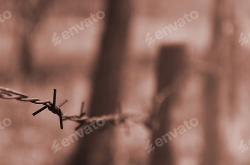 Preview: Macro shot of an element of old and rusty barbed wire with a blurred background. Fragment of