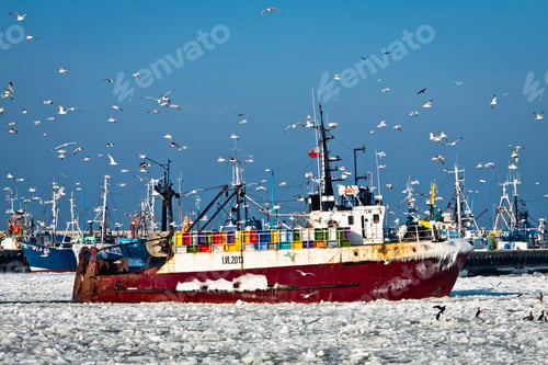 Preview: Forezen boat with seagull entering in harbor