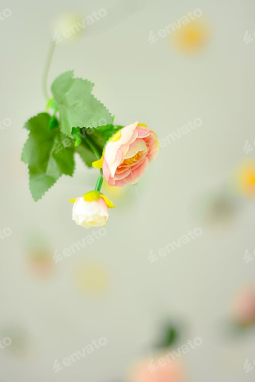 Preview: Flowers