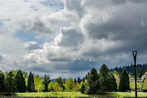 Preview: Beautiful shot of a green landscape