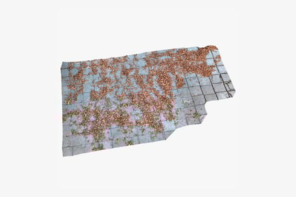 Preview: Paved Floor with Scattered Autumn Leaves