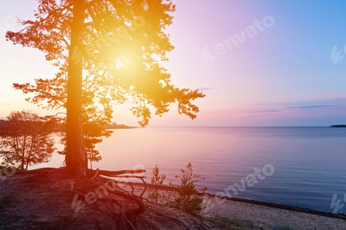 Preview: Calm sea water in Baltic sea bay during beautiful sunset, harmony with nature, zen and relax time