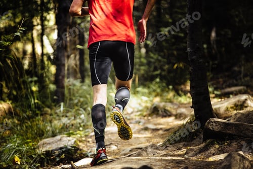 Preview: Marathon Runner Running on Stones in Forest
