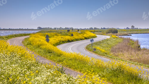 Preview: Bicycle track with cyclist with yellow flowers