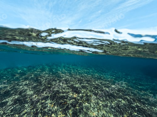 Preview: Underwater at the beach on the island