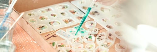 Preview: Creating resin art with floral inclusions using molds and a green liquid