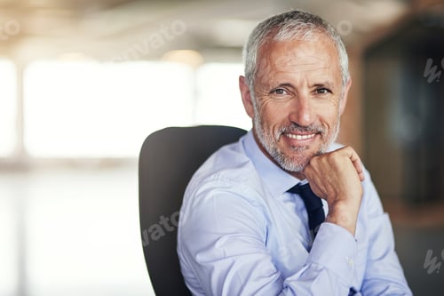 Preview: Cropped portrait of a mature businessman sitting in his office