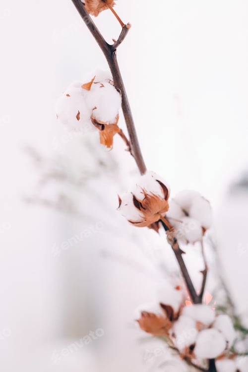 Preview: decoration with fluffy flowers on the table in winter style at the wedding
