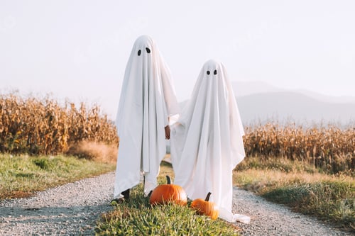 Preview: Halloween Kids Holidays Concept.
