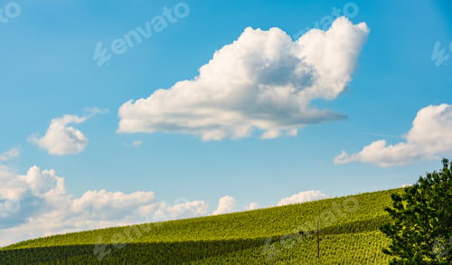 Preview: Beautiful landscape of Austrian vineyards in south Styria. Famous Tuscany like place to visit
