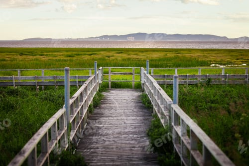 Preview: Amazing Calm Landscape View of a Swamp from a Wood Balcony