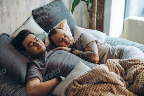 Preview: A homosexual couple on bed in studio with loft interior