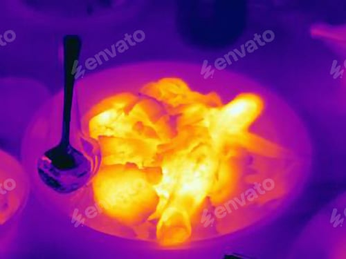 Preview: Thermal image of plate of food