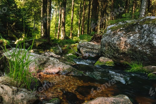 Preview: Scenic shot of a part of River Main called White Main located in Fichtelgebirge, Bavaria, Germany