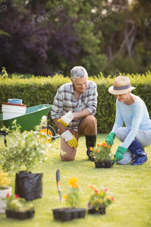 Preview: Senior couple gardening together