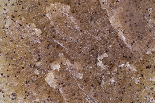 Preview: Scrub with coffee and honey texture close up.