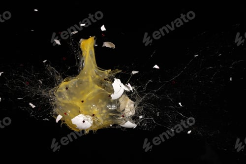 Preview: high speed photography egg shot
