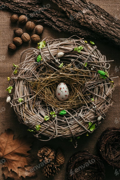 Preview: Easter egg in bird nest