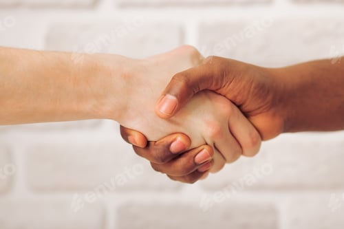 Preview: Multi ethnic hands
