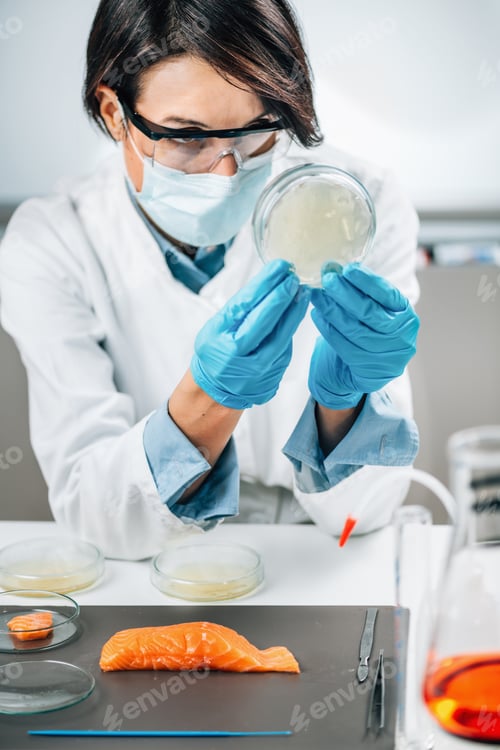 Preview: Assessment of Fish Quality. Microbiologist Examining a Petri Dish with Agar
