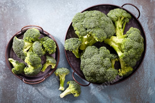Preview: Fresch Broccoli slices on plate.