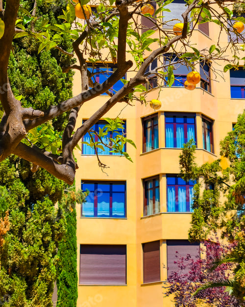 Preview: Blue tinted windows with sunshine beaming against the orange walls surrounded by nature and fruits.