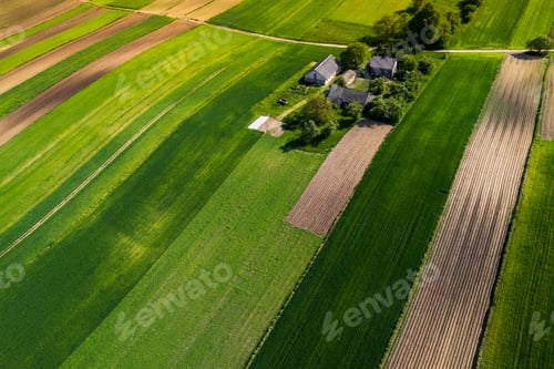 Preview: Farmland and Green Farm Fields at Spring. Drone View