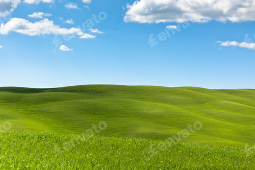 Preview: Tuscan Val d'Orcia background