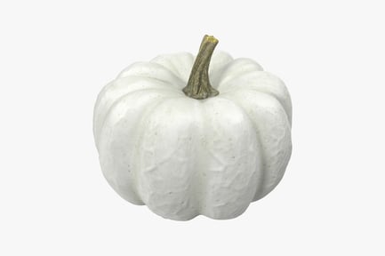Preview: White speckled pumpkin with stem