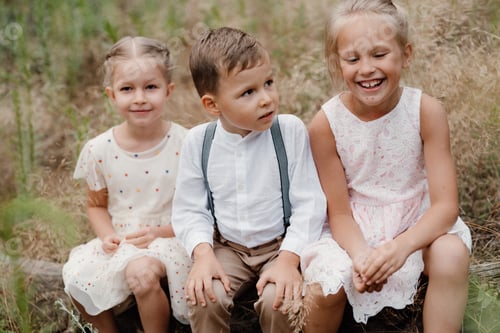 Preview: happy children play in a summer pine forest