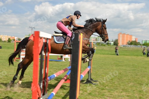 Preview: Rider In The Jumping Show