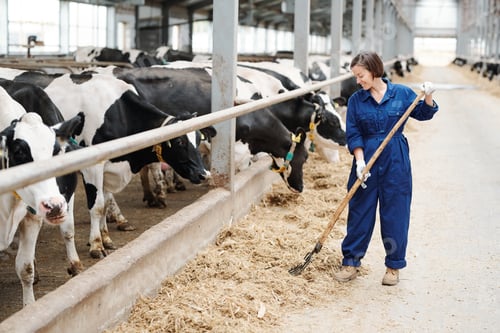 Preview: Happy young farmer or worker of contemporary dairy farm working with hayfork