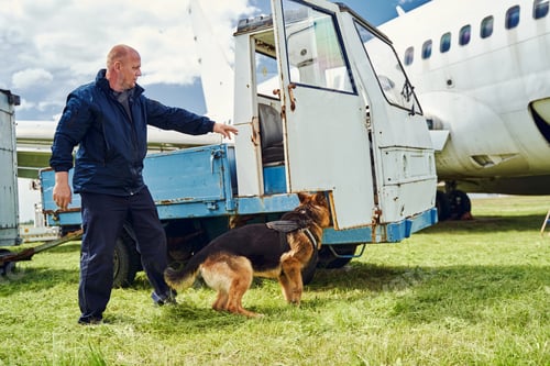 Preview: Security officer and detection dog checking truck at aerodrome