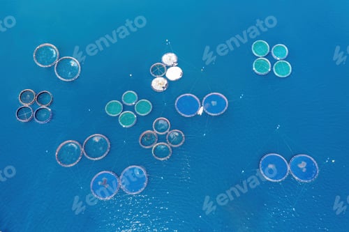 Preview: Fish farming aerial drone view. Aquaculture fish industry in Greece