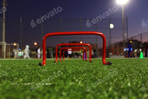 Preview: field