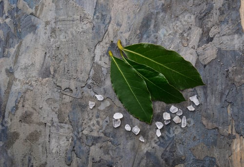 Preview: Fresh bay leaves and salt