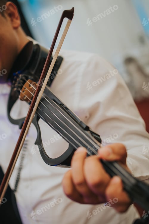 Preview: Vertical shot of a performer playing the violin at an event