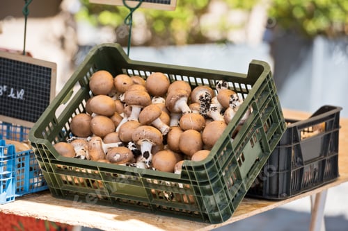 Preview: Mushrooms in a plastic box on a farm market