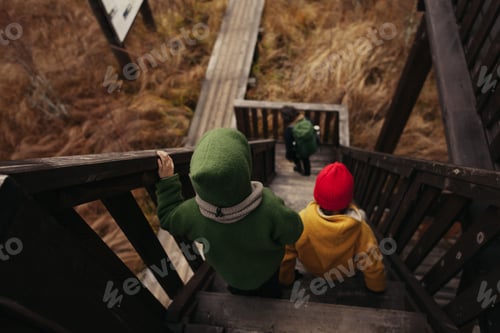 Preview: Children Walking Down the Stairs of a Wooden Bird Watch Tower in Swamp Nature Reserve