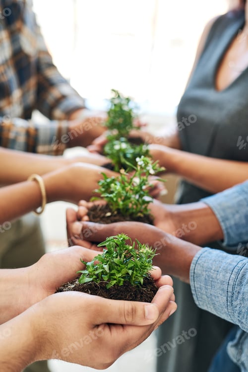 Preview: Success is helping each other grow