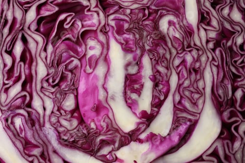 Preview: Cut fresh red cabbage as background, closeup