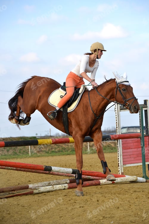 Preview: Horse At Jumping Competition