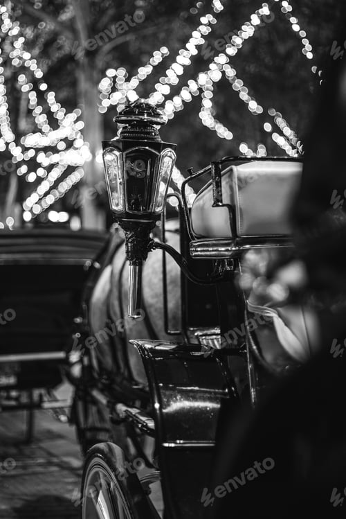 Preview: Grayscale shot of a lamp in the horse carriag against a bokeh background